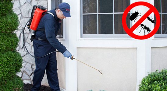 Banaz Dezenfeksiyon böcek ilaçlama ve haşere kontrolü — ilaclama-tr.com